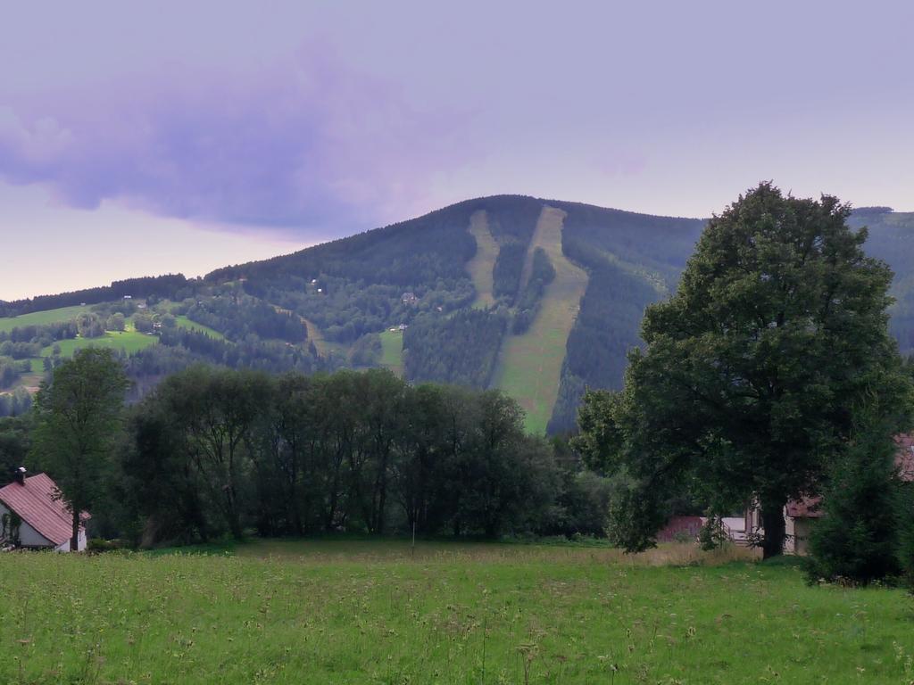 Penzion V Kolonce Strážné Extérieur photo